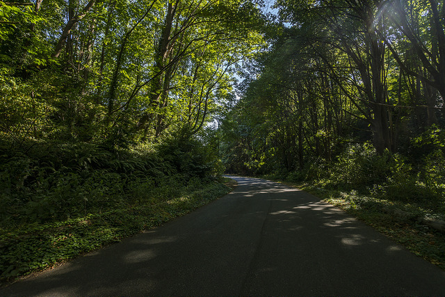 Seola Park path