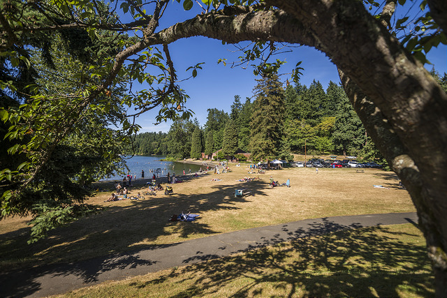 Seward Park paths