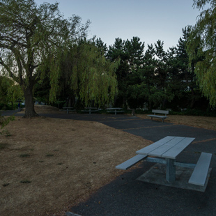 Smith Cove Park