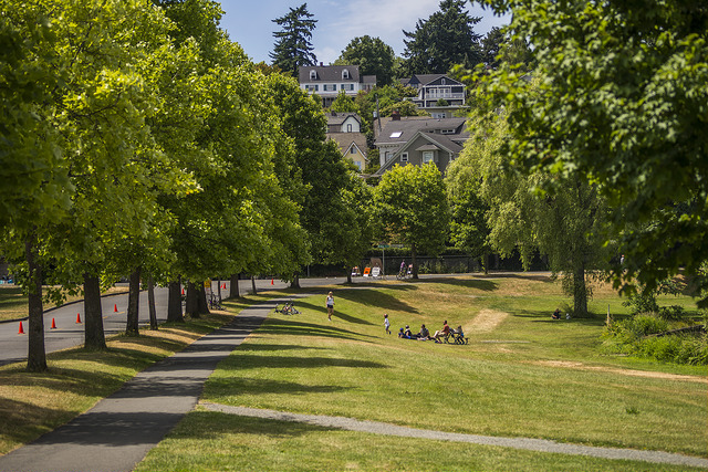 Stan Sayers Park paths