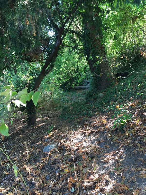 Stevens Triangle greenery