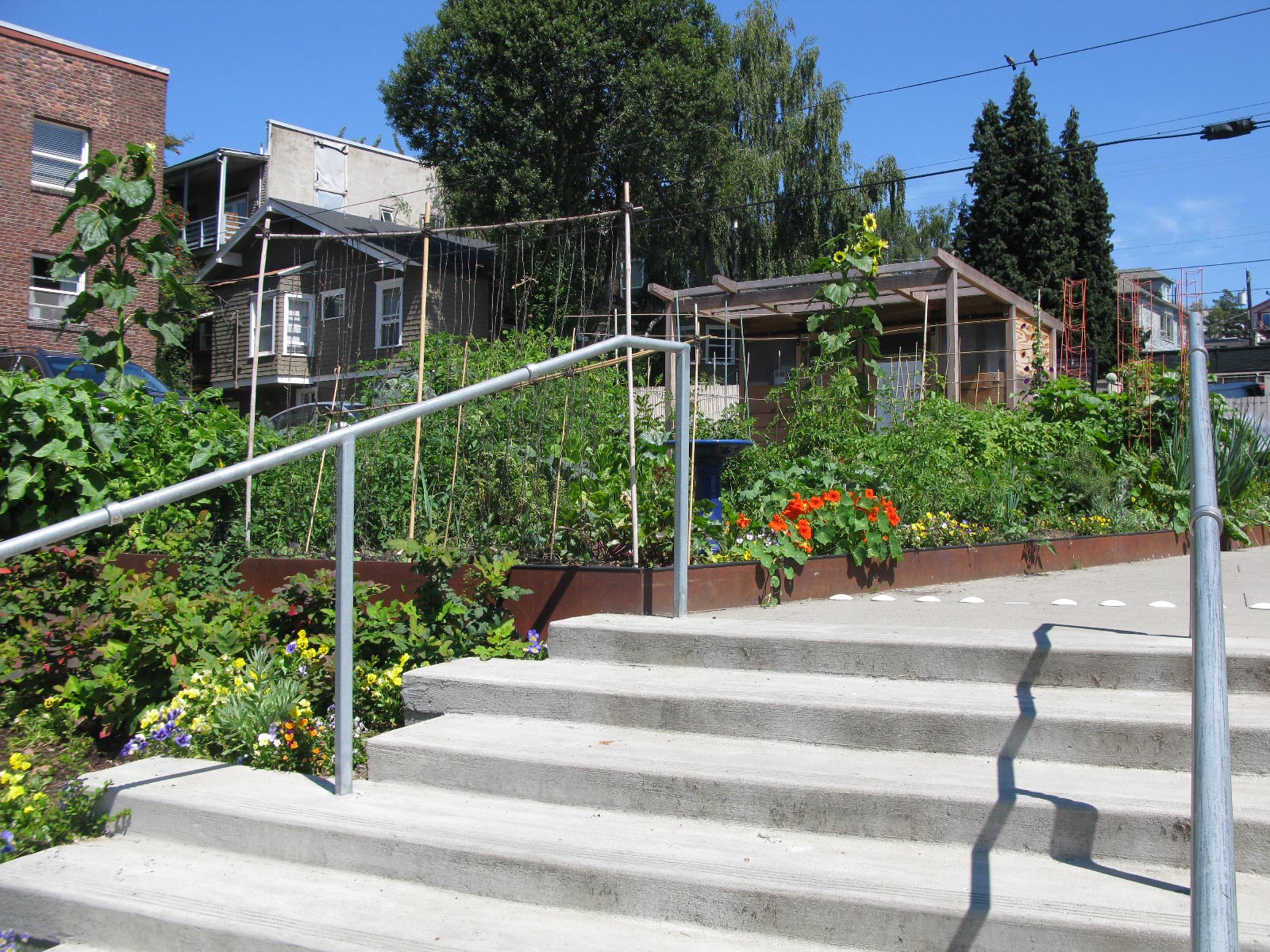 Summit Slope Park stairs