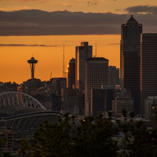 Twelfth Avenue South Viewpoint