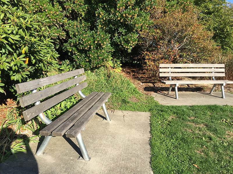 Benches on the circle