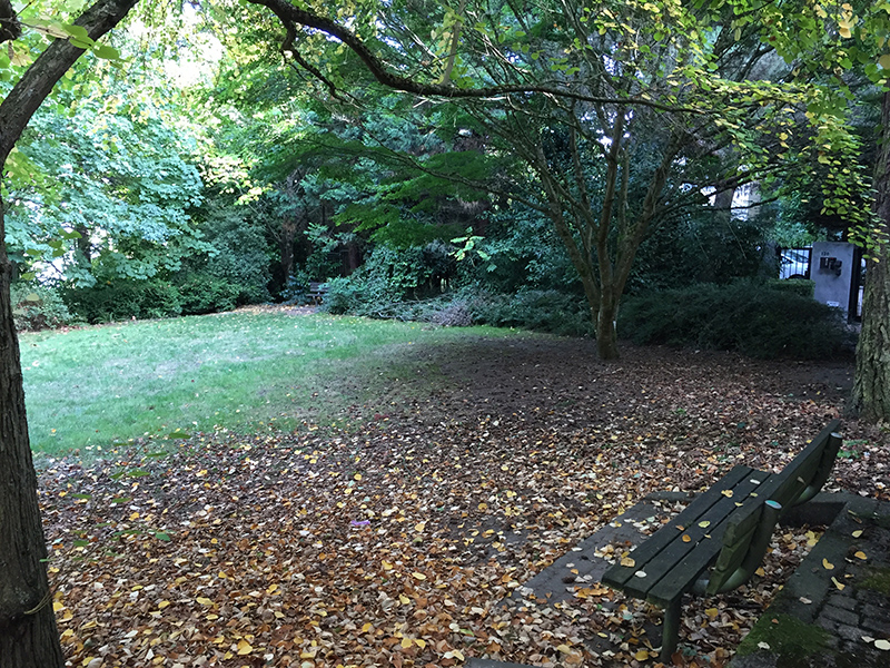 Viretta Park benches and lawn