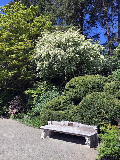 Bench on path