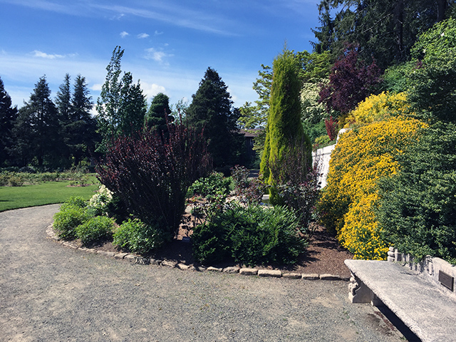 Rose Garden paths