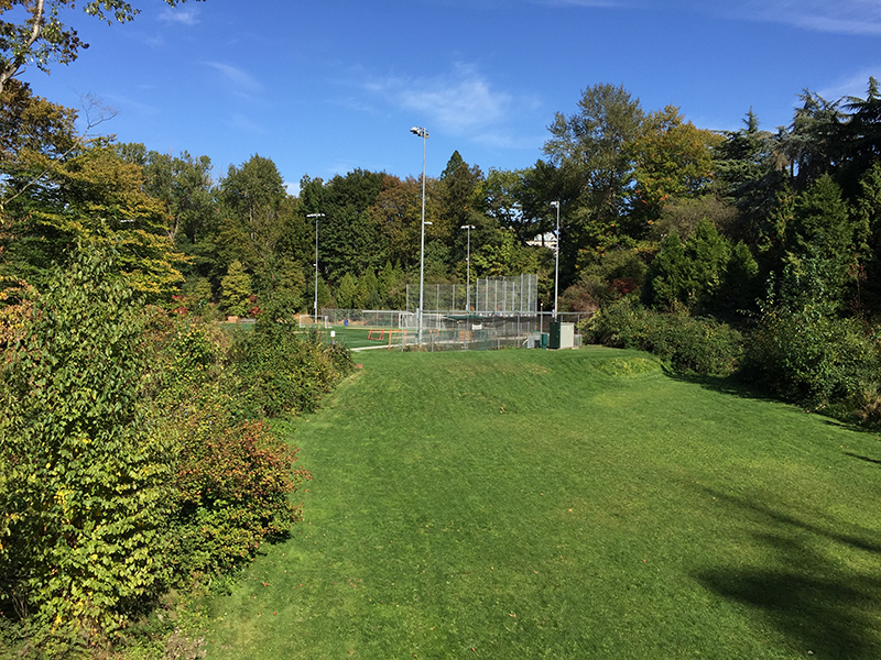 Playfield and lawn