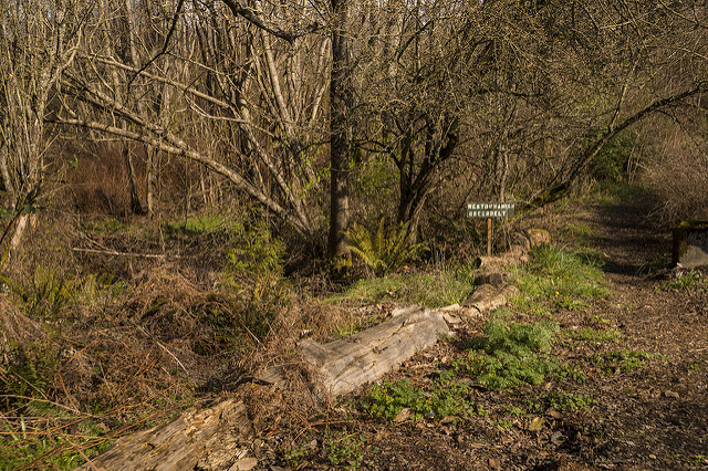 West Duwamish Greenbelt pathway and sign