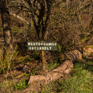 West Duwamish Greenbelt