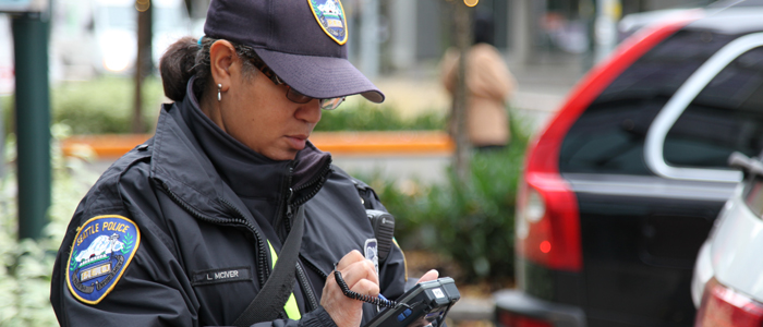 Parking Enforcement Officers