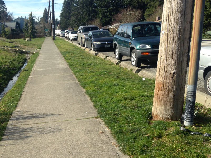 At-grade concrete walkway with wheel stop delineators