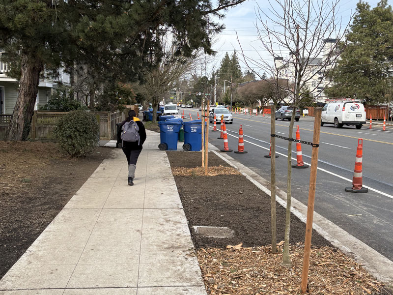 Traditional concrete sidewalk with curbs and planting buffer, typically used on arterials