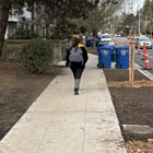 Traditional concrete sidewalk with curbs and planting buffer, typically used on arterials