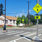 Man and a dog crossing a road in a new sidewalk with flashing beacons