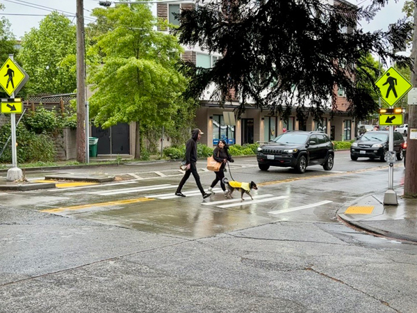 Crosswalks with signs and flashing lights help people cross the street more safely and concrete pedestrian islands give people crossing more space.