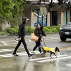 Crosswalks with signs and flashing lights help people cross the street more safely and concrete pedestrian islands give people crossing more space.