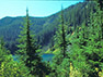 Upper Watershed: At the center of the Joe E. Monahan Research Area, Findley Lake is an undisturbed jewel nestled in the Cascade Range.