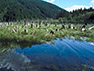 Upper Watershed: A rich wetland has developed around the remnants of ancient forests where the Rex River enters Chester Morse Lake.