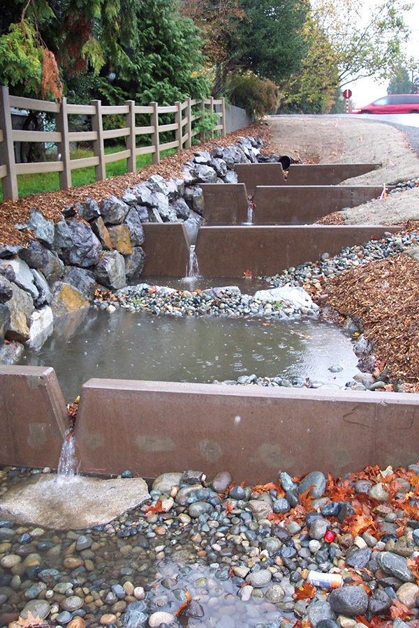 Rainwater flows slowly through dividers and pools in the gravel-lined sections between them in a roadside cascading bioretention drainage system in Seattle's Broadview neighborhood.