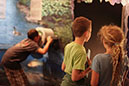 Exhibits will captivate both young and old.
