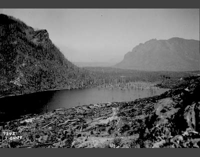 The trunks of dead trees protrude from a lake amidst steep, deforested hills