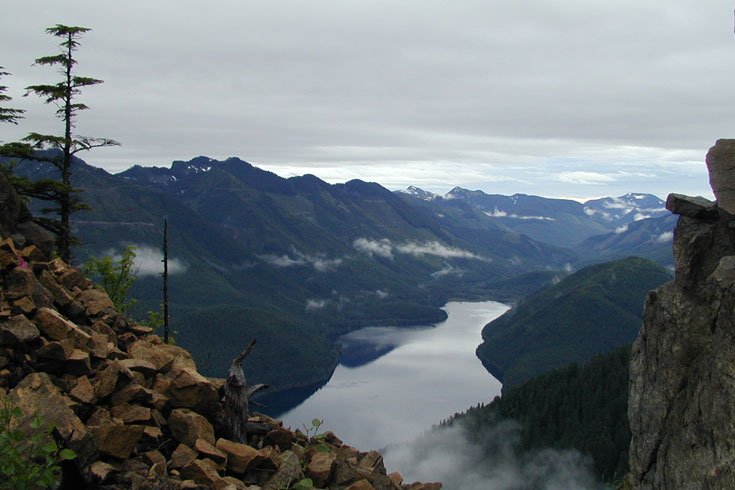 Water levels in Chester Morse Lake, the largest water body in the watershed, are controlled by the Masonry Dam and the Overflow Dike. Prior to the construction of these control structures, a natural lake known as Cedar Lake occurred here. Chester Morse Lake supports populations of bull trout and pygmy whitefish.