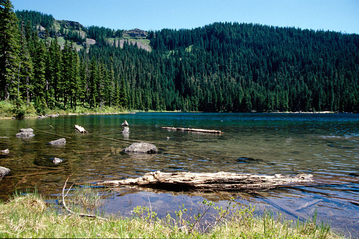 Findley Lake is in the upper elevations of the Cedar River Watershed within the silver fir forest zone (3,700 feet elevation). Considerable biological research has been conducted in the Findley Lake subbasin, beginning in the 1970s with its designation as a Coniferous Forest Biome study site of the International Biological Program.