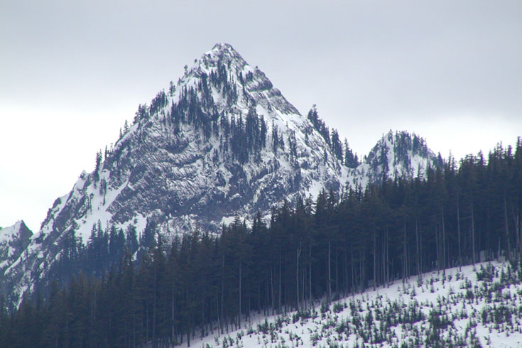 Rock formations that have been eroded by glacial activity often result in spectacular rock outcrops and cliffs. Goat Peak is one of the more striking rock outcrops in the watershed and is named for the mountain goats that are occasionally seen on the ridges and peaks high above Chester Morse Lake.