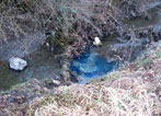 A spill of kerosene to Longfellow Creek in West Seattle.