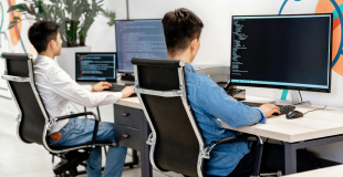 People sitting at desks looking at computer monitors