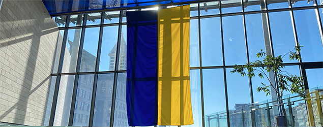 Ukraine flag