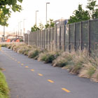 The protected bike lane on the west side of Alaskan Way S / Dzidzilalich between S King St and Yesler Way.