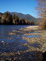 Mountain Stream