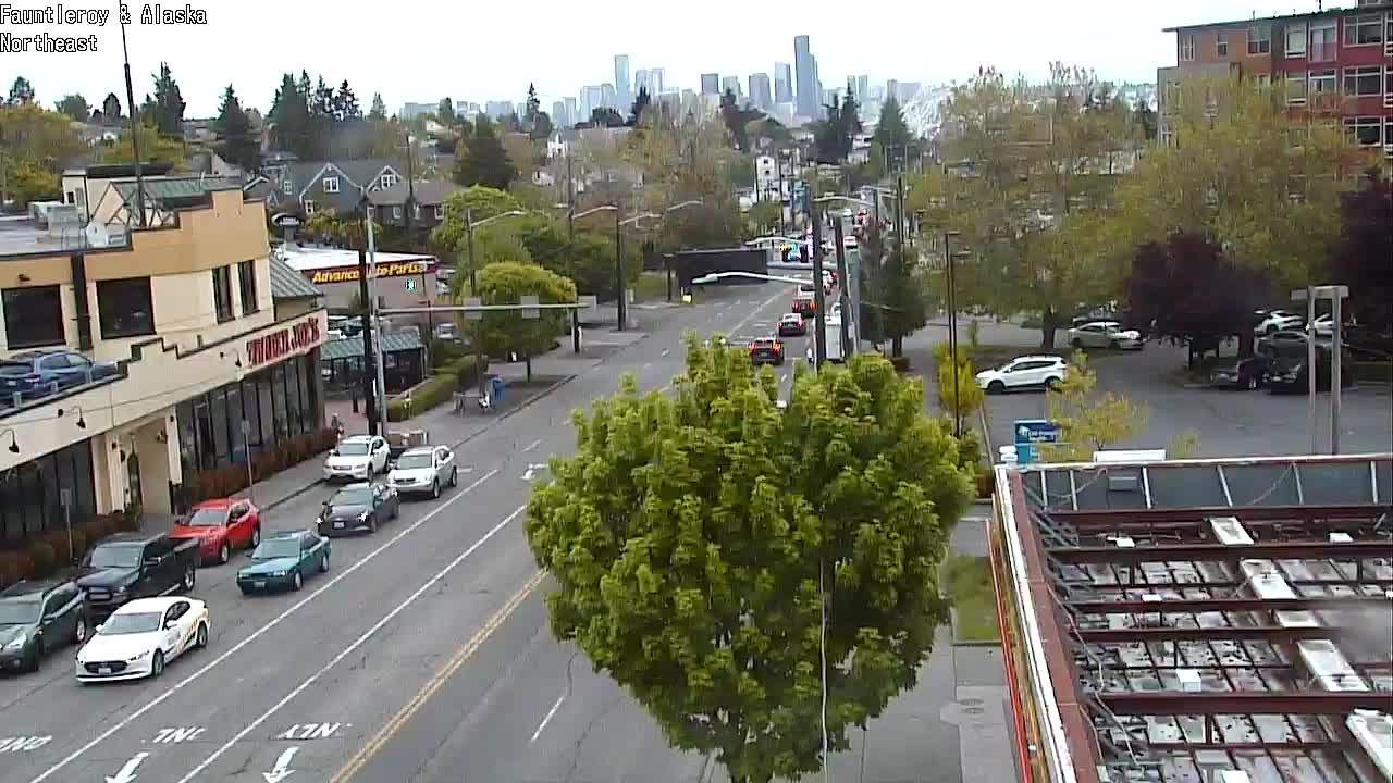 West Seattle Traffic Cameras: Fauntleroy Way SW & SW Alaska St