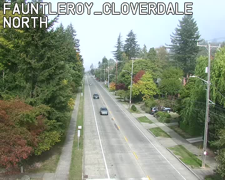 WSF Fauntleroy Way and Cloverdale St.